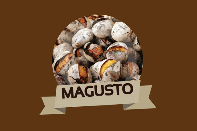 magusto
