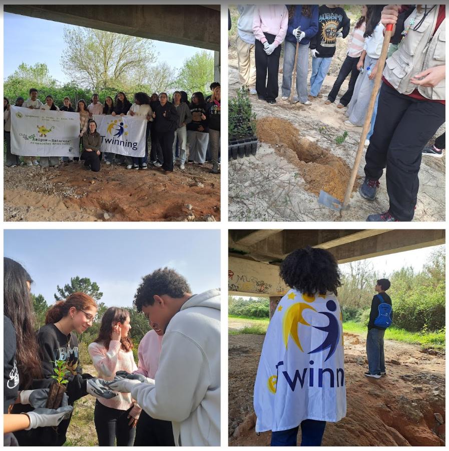 diamundialvidaselvagem.2 2026