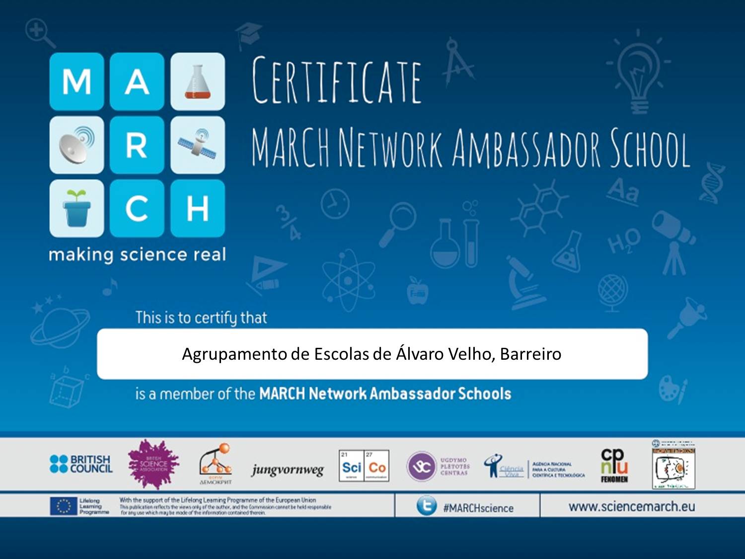 certificate march network ambassador school